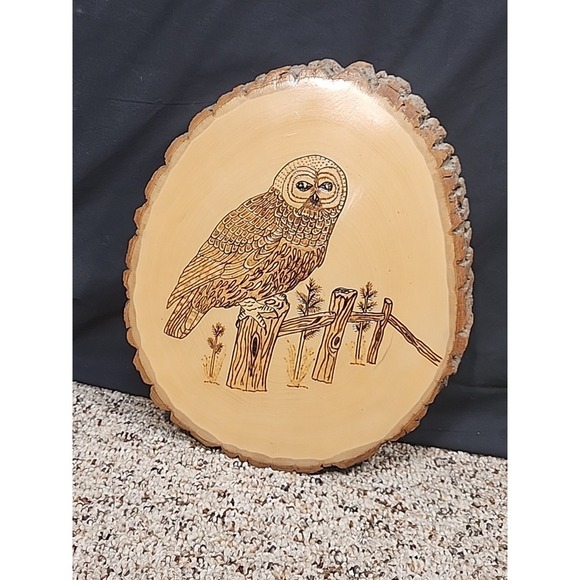 Other - Hand Crafted Wood Burned Owl  Plaque Art Wall Hanger